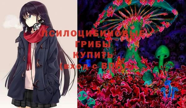 круглые Алексеевка